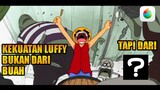 Kekuatan Luffy Bukan Dari Buah Iblis Namun Dari...