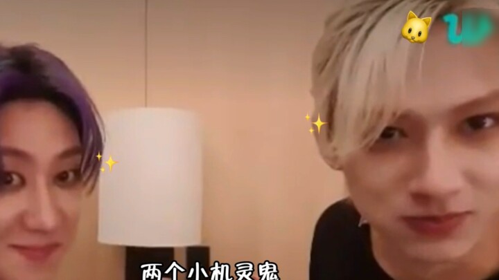 [Junba] "มาดูกันว่าใครโง่" พี่สาวชาวจีนวิจารณ์สาวคาร่าชาวจีนอย่างเปิดเผยในไลฟ์สด... อย่าทำให้ฉันหัวเ