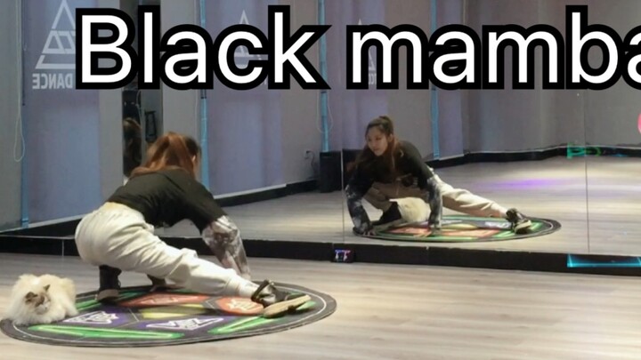 [Pipi Tutorial] Black mamba-aespa debut song dance machine complete tutorial