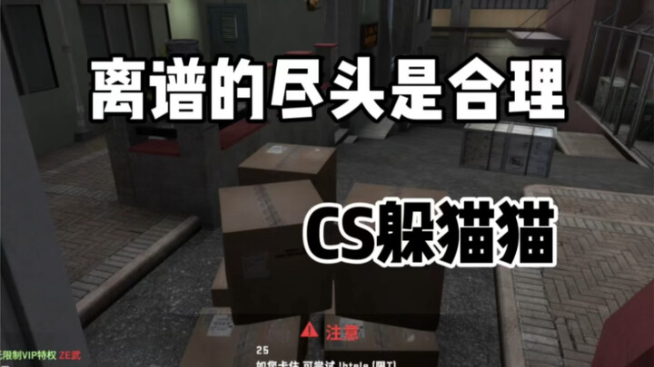 CSGO躲猫猫：离谱的尽头是合理