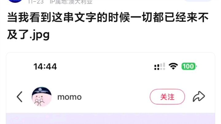 «عندما رأيت هذه السلسلة من النصوص، كان الوقت قد فات بالفعل...»