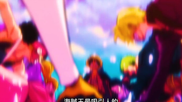 海贼王最吸引人的从不是那热血的战斗！！