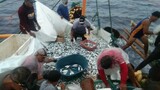 Mandaragat(buhay mangingisda) fishing video fishing life