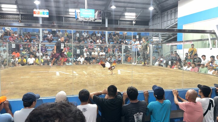 3hits champion at new imus cockpit arena🐓