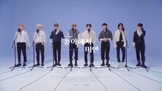 Stray Kids - 좋아해서 미안 (Sorry, I Love You) Video