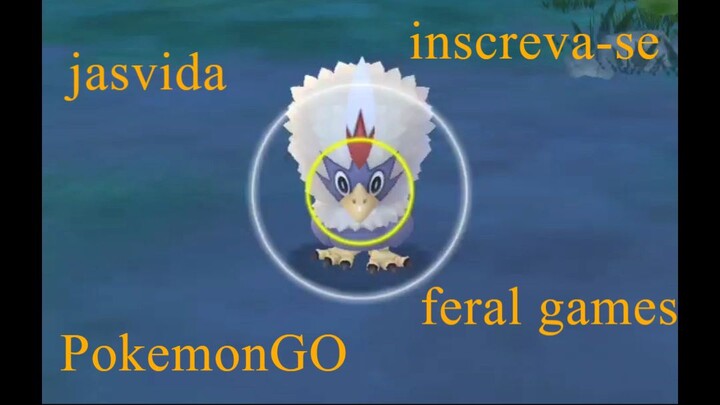 Rufflet  Pokemon