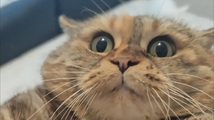Mom suddenly picked me up and carried me away.