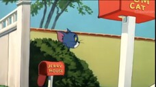 Tom and Jerry | Diary