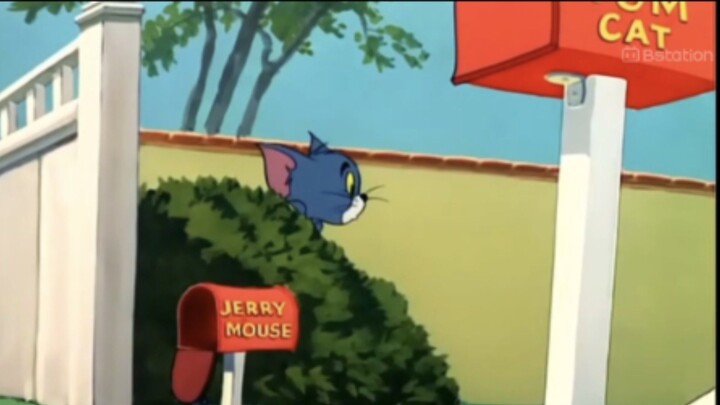 Tom and Jerry | Diary