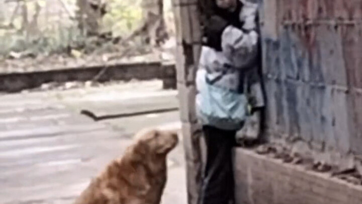 Dogs always manage to pinpoint the person who’s afraid of them, every time without fail!