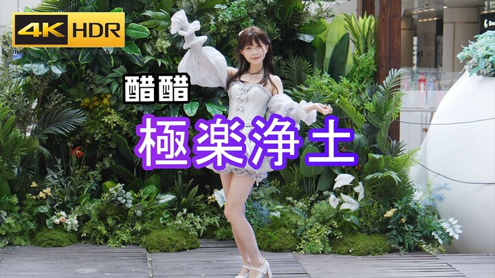 【醋醋】極楽浄土-无限次元宅舞大赛