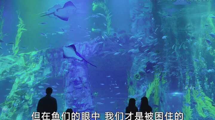 “我本可以忍受黑暗 如果我未曾见过光明”