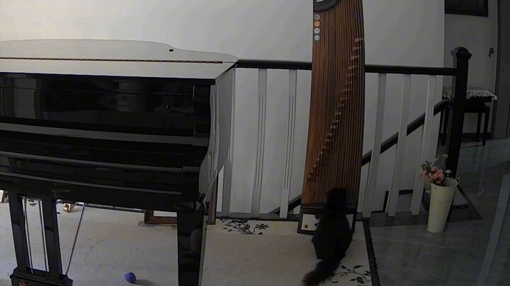 الهرّة الصغيرة: من الصعب العثور على صديقٍ يفهمك حقًا، يا له من صعوبة!