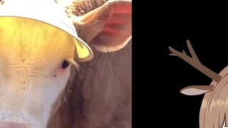 Japanese deer read "Illustrated Guide to Confusing Summer Behaviors"