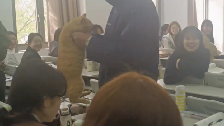 พี่เหมียวเริ่มตั้งใจแล้ว