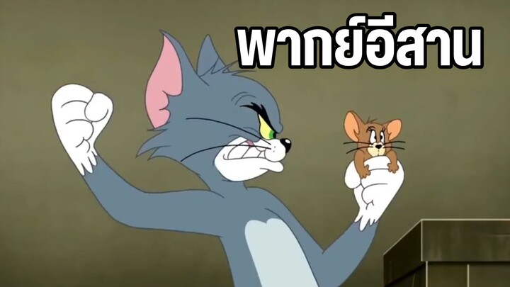 ทอมแอนด์เจอร์รี่ พากย์อีสาน หนูสุดแกร่ง