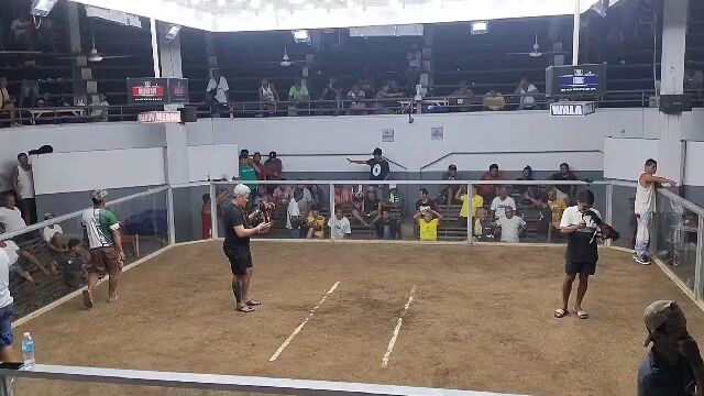 Maasin cockpit arena 2wins (win)