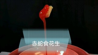 赤蛇吞花生