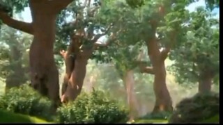 heartsping teenieping of love