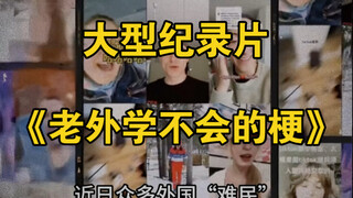 大型纪录片《老外学不会的梗》