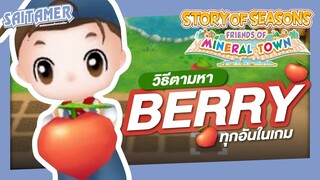 [Story of Seasons Friends of Mineral Town] รวมวิธีหาเบอรี่ทั้งหมด (All Power Berry) | SAITAMER