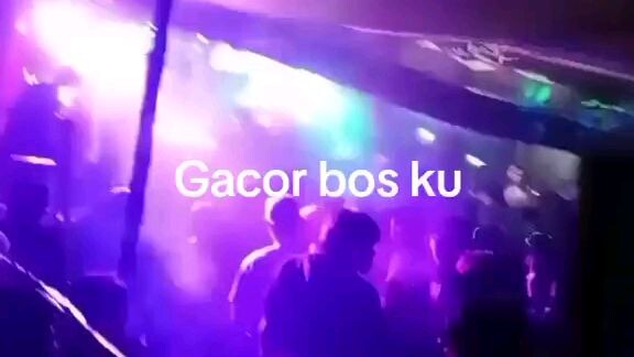 ku gacor bos ku