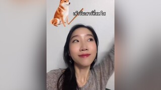 วันหยุดที่ไม่ได้หยุด 🤔  รีวิวชีวิตช่วงนี้ พูดได้ไหมพี่จี้ ร้องไห้หนักมาก foryoupage s12fam ahchoo maiahchoo