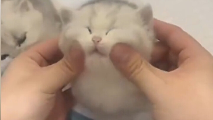 น่าโมโห! ถูกเธอจับจุดได้แล้ว