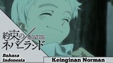 |Fandubb Indo|The promise Neverland|Keinginan Norman |