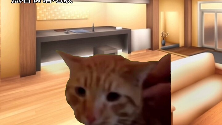 【Cat meme】Interpretation of Kim Seok-jin