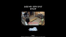 SEUNGKWAN the exceptional vocalistㅣNANA bnb with SEVENTEEN (Indo Sub)