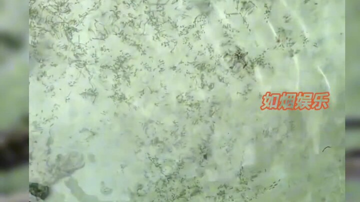 เป็นครั้งแรกที่ไม่เห็นความไร้เดียงสาบนใบหน้าของเด็ก มีเพียงการคำนวณเพื่อความอยู่รอด เป็นครั้งแรกที่ไ