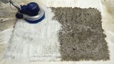 [Immersive Cleaning] Violently cleans a carpet that has been infested with insects, and a large amou