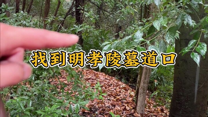 Tại Minh Hiếu Lăng ở Nam Kinh, tìm thấy lối vào lăng mộ của Chu Nguyên Chương