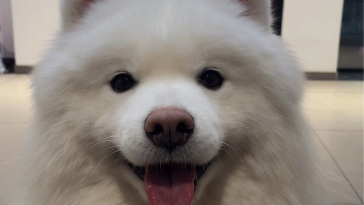 Khen tôi đi, đừng dừng lại!