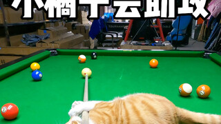 小橘子 神助攻开启