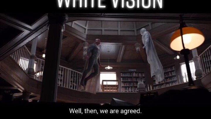 Vision vs. White Vision