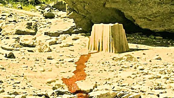 black ants vs red ants