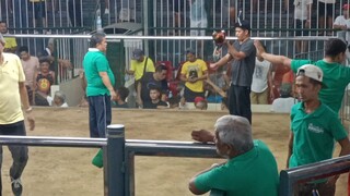 sqc saturday fights