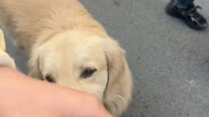 So cute—such a great feel, super soft!