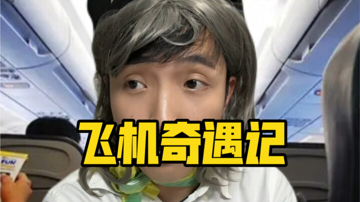 A detailed reconstruction of a certain aviation incident, with too many elements involved