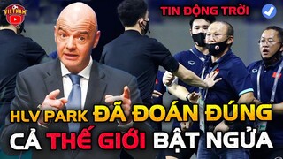 FIFA Báo Tin ĐỘNG TRỜI Liên Quan Tới ĐTVN, HLV Park Đã Đoán Đúng, NHM Ngỡ Ngàng