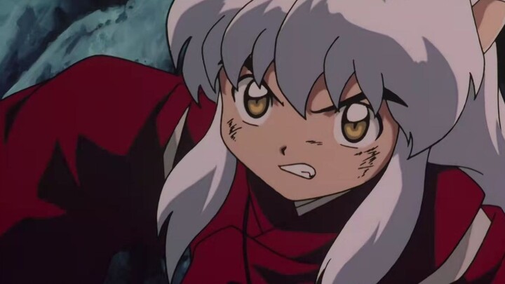 [ InuYasha ] The screen is cute and critical! Why didn't I find that InuYasha is so cute before!!