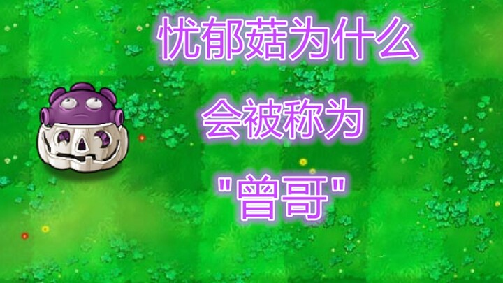 [Plants vs. Zombies] Do you still remember when you started going by “Bro Zeng”?