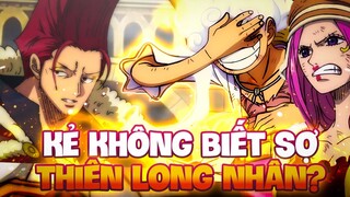 KẺ KHÔNG THÈM SỢ THIÊN LONG NHÂN?! | NHỮNG KẺ KHÔNG SỢ CHÍNH PHỦ THẾ GIỚI ONE PIECE