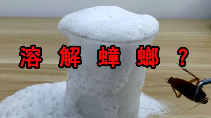 Can a powerful drain cleaner dissolve cockroaches? The experiment delivers an unexpected surprise!