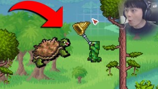 Kudengar kura-kura di game ini lebih baik! Terraria Master #06