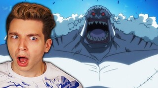 HODY JONES TRUE IDENTITY (one piece reaction)