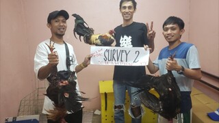 2 HITS CHAMPION @SantaMonicaCockpit 1st fight