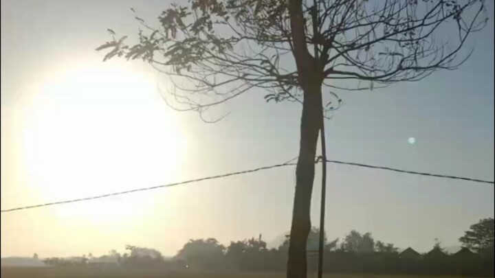 Sun